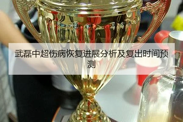 武磊中超伤病恢复进展分析及复出时间预测