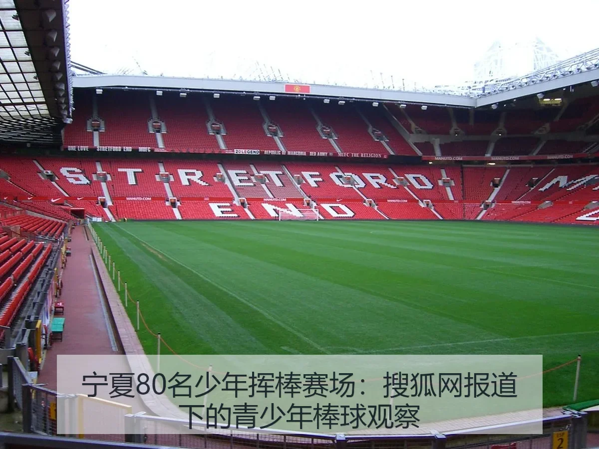 宁夏80名少年挥棒赛场：下的青少年棒球观察